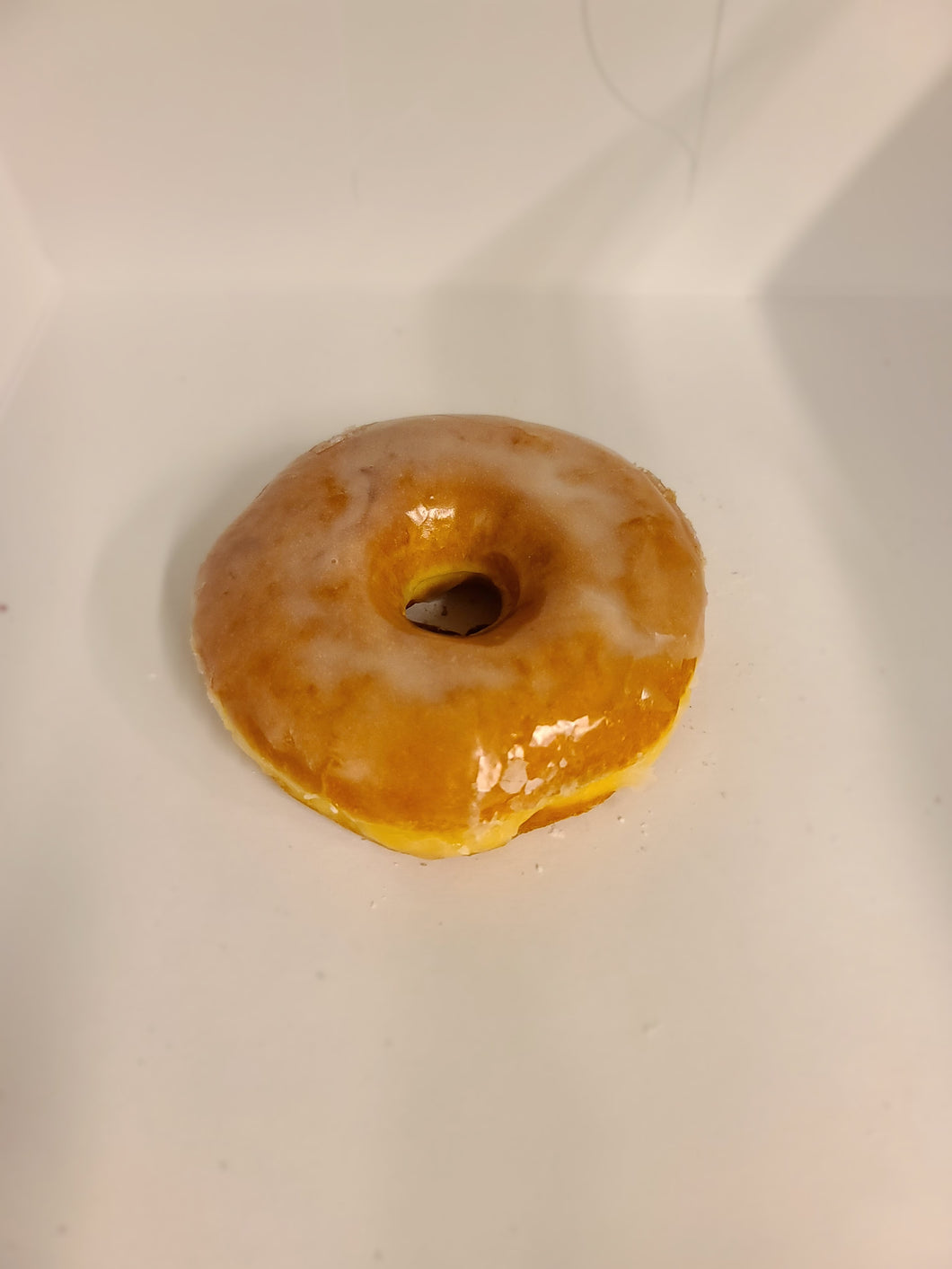 Raised Donuts